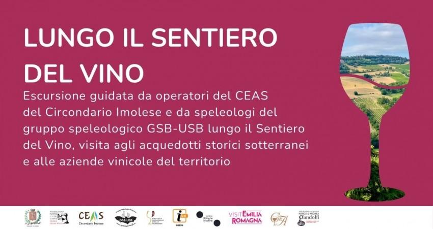 LUNGO IL SENTIERO DEL VINO