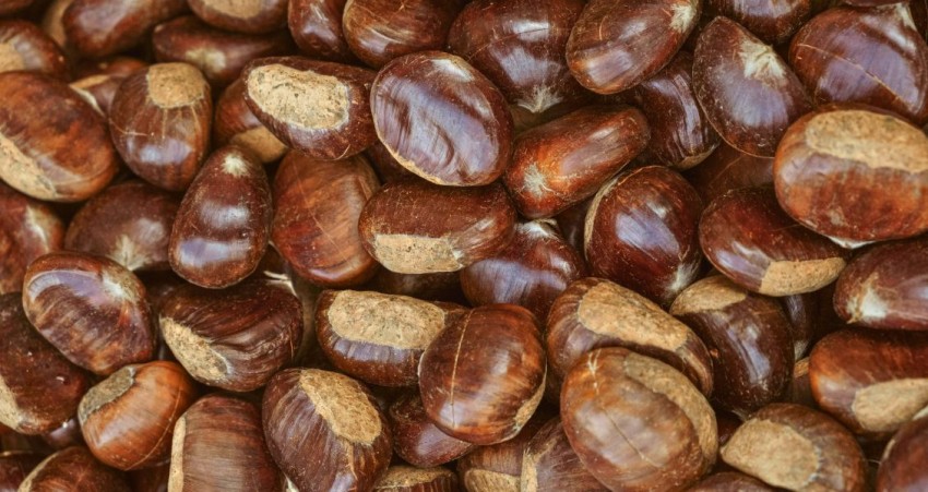 CASTAGNE E VIN BRULÉ CON IL GRUPPO ALPINI DI DOZZA